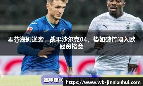 霍芬海姆逆袭，战平沙尔克04，势如破竹闯入欧冠资格赛